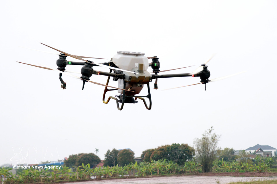 La coopérative de jeunesse Nam Dai Duong (commune de Nghia Hung, province de Ninh Binh) utilise des drones pour le semis du riz. Photo : VNA