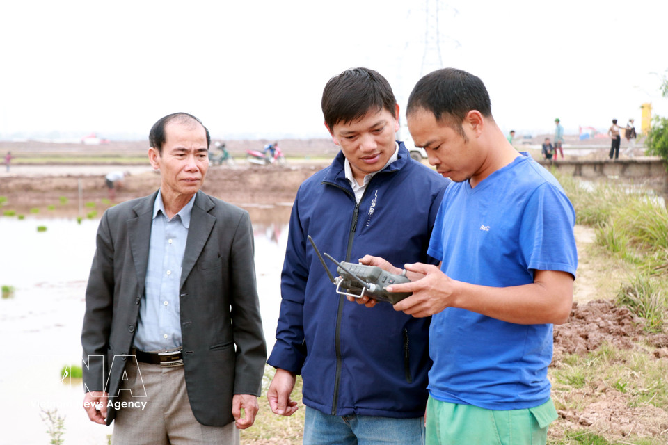 Luong Van Truong supervise les semis de riz à l’aide d’un système de contrôle automatisé. Photo : VNA