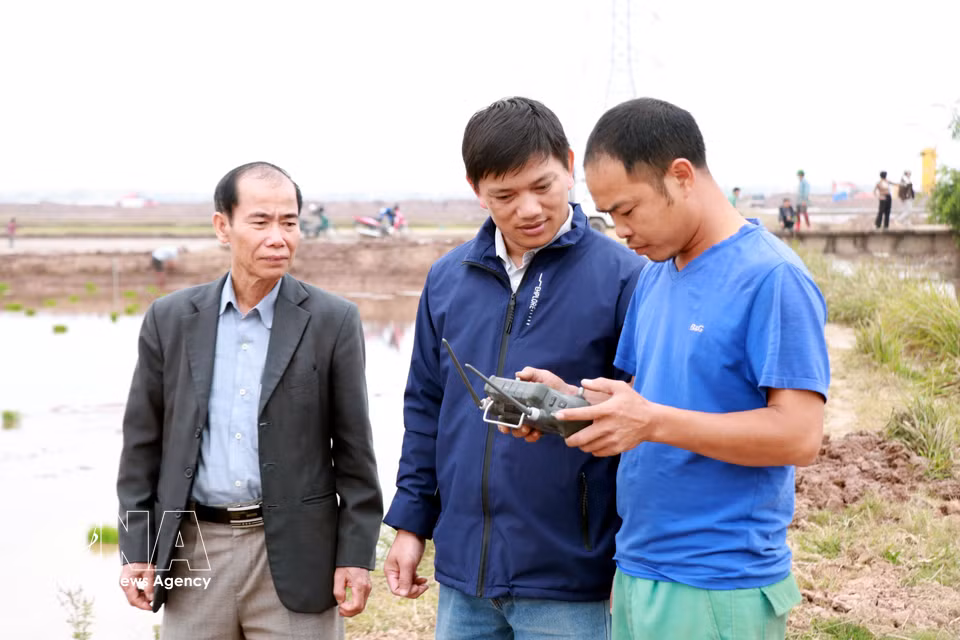 Luong Van Truong supervise les semis de riz à l’aide d’un système de contrôle automatisé. Photo : VNA