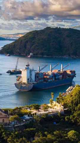 Le port de Quy Nhon. Photo: VNA