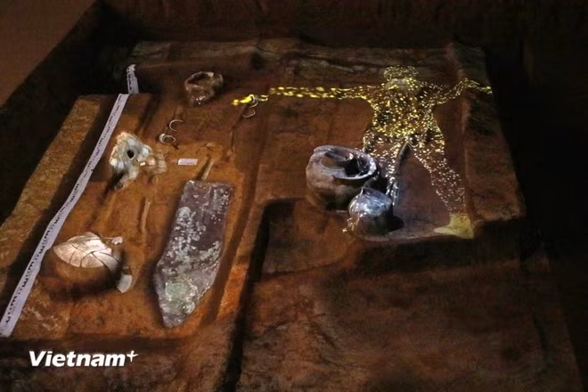 trien-lam-hien-vat-khao-co-vuon-chuoi-2025-2.jpg