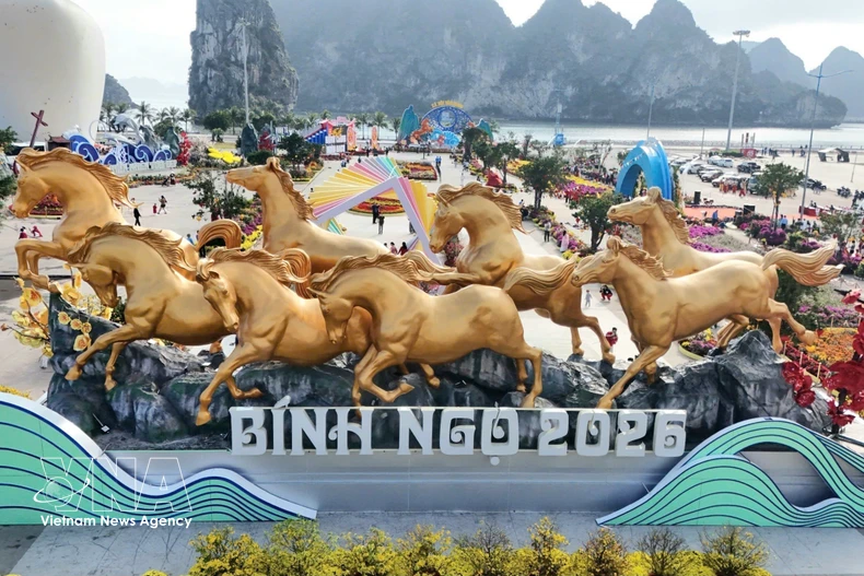 L'espace décoratif intitulé « Avenue florale et technologique lumineuse ». Photo : VNA