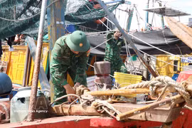 Des gardes-frontières aident les pêcheurs à éviter le typhon MAYSAK. Photo : VNA