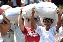 Des personnes déchargent du riz d'un entrepôt à Tacloban, aux Philippines. Photo : AFP/VNA