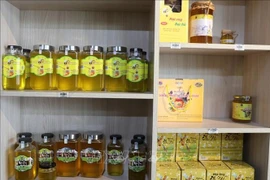 Le miel de menthe est un produit clé du plateau rocheux de Dong Van (Ha Giang). Photo : VNA