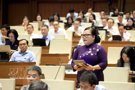 Un débat en séance plénière dans le cadre de la première session non-ordinaire de la 16e Assemblée nationale. Photo : VNA