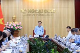 Le ministre des Affaires étrangères, Le Hoai Trung, préside une réunion interministérielle consacrée à l'examen et au suivi de la mise en œuvre des engagements et accords internationaux. Photo : VNA