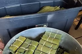 Tout comme au Vietnam, quelques jours avant le Têt, les cadres, les employés, les proches des membres de l’ambassade et des agences auprès de l'ambassade se réunissent pour la confection du « banh chung ». Photo : VNA