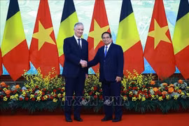Le Premier ministre Pham Minh Chinh (droite) a eu le 1er avril à Hanoï une entrevue avec le roi Philippe de Belgique, en visite d'État au Vietnam. Photo : VNA