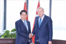 Le président vietnamien Luong Cuong (gauche) a rencontré dans l’après-midi du 24 septembre (heure locale) à New York, le président turc Recep Tayyip Erdoğan. Photo : VNA