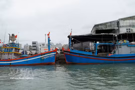 Des bateaux de pêche accostent au port de Quy Nhon, dans la province de Gia Lai, pour y effectuer les formalités d'import-export. Photo : VNA
