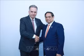 Le Premier ministre Pham Minh Chinh (droite) rencontré le président uruguayen Yamandú Orsi, à Rio de Janeiro, au Brésil. Photo : VNA