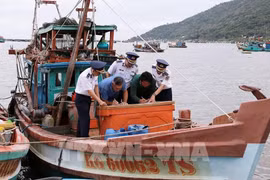 Pêche INN : An Giang renforce la gestion et le contrôle des navires de pêche non autorisés