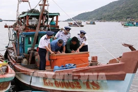 Pêche INN : An Giang renforce la gestion et le contrôle des navires de pêche non autorisés