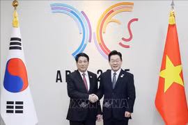 Le président Luong Cuong (gauche) s’est entretenu, le 30 octobre à Gyeongju, avec son homologue sud-coréen Lee Jae Myung. Photo : VNA