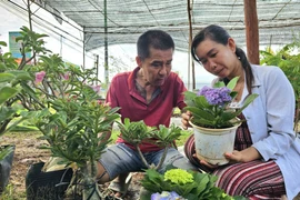 Le Hong Phuc et sa femme Vo Thi Loan, résidant dans le hameau de Tan Thien, commune de Tan Thanh Binh, province de Ben Tre, développent leur entreprise de production de pots ornementaux et de bonsaïs grâce à un crédit public. Photo : VNA 