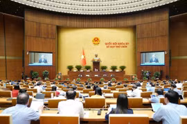 Le projet de révision de la loi sur les normes et les règlements techniques a été examiné le 10 mai. Photo: quochoi.vn