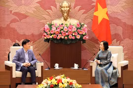 La vice-présidente de l’Assemblée nationale, Nguyen Thi Thanh et le professeur Kim Hak-Min, lors de la rencontre à Hanoï. Photo : VNA