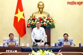 Le président de l'Assemblée nationale Tran Thanh Man. Photo : VNA