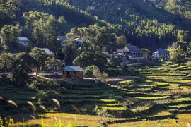 Les paisibles villages ethniques Muong de la commune de Van Son attirent de nombreux touristes. Photo : VNA
