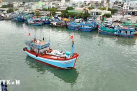 Mettre en œuvre résolument des solutions urgentes pour encadrer rigoureusement les activités d'exploitation des produits de la mer par les pêcheurs. Photo d'illustration : VNA