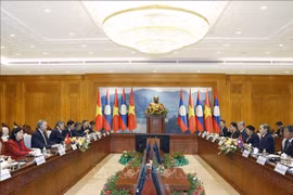 La rencontre entre le secrétaire général du Parti communiste du Vietnam, To Lam, et le président de l’Assemblée nationale lao, Saysomphone Phomvihane. Photo : VNA