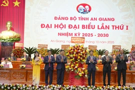 Le premier Congrès de l'organisation du Parti de la province d’An Giang pour le mandat 2025-2030. Photo : VNA