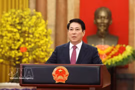 Le président Luong Cuong adresse un message de vœux du Têt aux compatriotes, aux camarades, aux soldats ainsi qu’à la communauté des Vietnamiens résidant à l’étranger. Photo : VNA