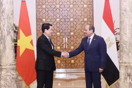 Déclaration conjointe sur l’élévation des relations au niveau de partenariat global Vietnam-Égypte