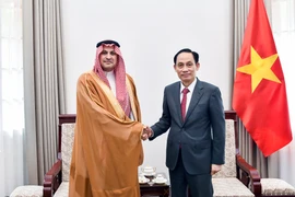 Le ministère des Affaires étrangères, le ministre Le Hoai Trung (droite) a reçu, l’après-midi du 31 décembre à Hanoï, Mohammed Ismaeil A. Dahlwy, ambassadeur d’Arabie saoudite, venu prendre congé au terme de son mandat au Vietnam. Photo : VNA