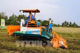 Démonstration d'un pulvérisateur d'engrais pour le traitement de la paille et des chaumes, combiné au labour. Photo : VNA