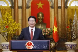 Le président Luong Cuong. Photo : VNA