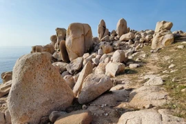Le parc de pierres de Ninh Thuân recèle d'innombrables roches aux formes singulières. Photo : VNA