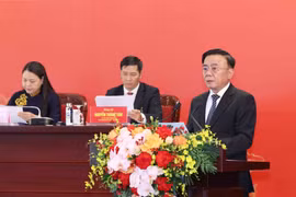 Permanent du Secrétariat du Comité central du Parti, Tran Cam Tu, prend la parole. Photo : VNA