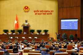 Les députés adoptent la Loi sur sur l’extradition. Photo : VNA