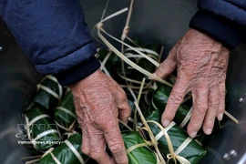 L'art ancestral de l'emballage du "bánh chưng" : un rituel du Têt vietnamien
