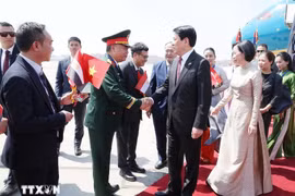 Le président Luong Cuong et son épouse arrivent au Caire pour une visite en Égypte. Photo : VNA