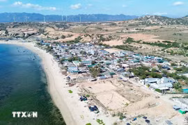 Le projet de centrale nucléaire Ninh Thuan 1 devrait être construit dans le village de Vinh Truong, commune de Phuoc Dinh, district de Thuan Nam. Photo : VNA