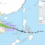 Selon le Centre national de prévision hydrométéorologique, le typhon Kalmaegi, la 13e tempête à se former en Mer Orientale cette année, continue de maintenir son intensité et sa trajectoire vers l’ouest-nord-ouest, tout en se rapprochant rapidement des côtes du Centre du Vietnam. Photo: VNA