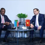 Le Premier ministre Pham Minh Chinh (à droite) rencontre à Johannesburg le vice-président sud-africain Paul Mashatile. Photo: VNA
