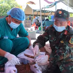 Des échantillons biologiques prélevés sur des tombes de martyrs au cimetière de Pho An, dans le quartier de Tra Cau (province de Quang Ngai). Photo : VNA