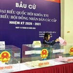 Des étudiants déposent leur bulletin de vote pour élire les députés de la 16ᵉ législature de l’Assemblée nationale du Vietnam et les membres des conseils populaires à tous les niveaux pour le mandat 2026-2031. Photo: VNA