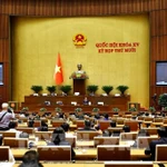 Une séance plénière de la 10ᵉ session de la 15ᵉ législature de l'Assemblée nationale. Photo: VNA