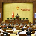 Une séance plénière. Photo: VNA