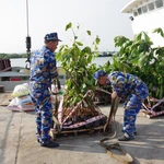 La chaleur du Têt aux soldats et habitants de Truong Sa. Photo: VNA
