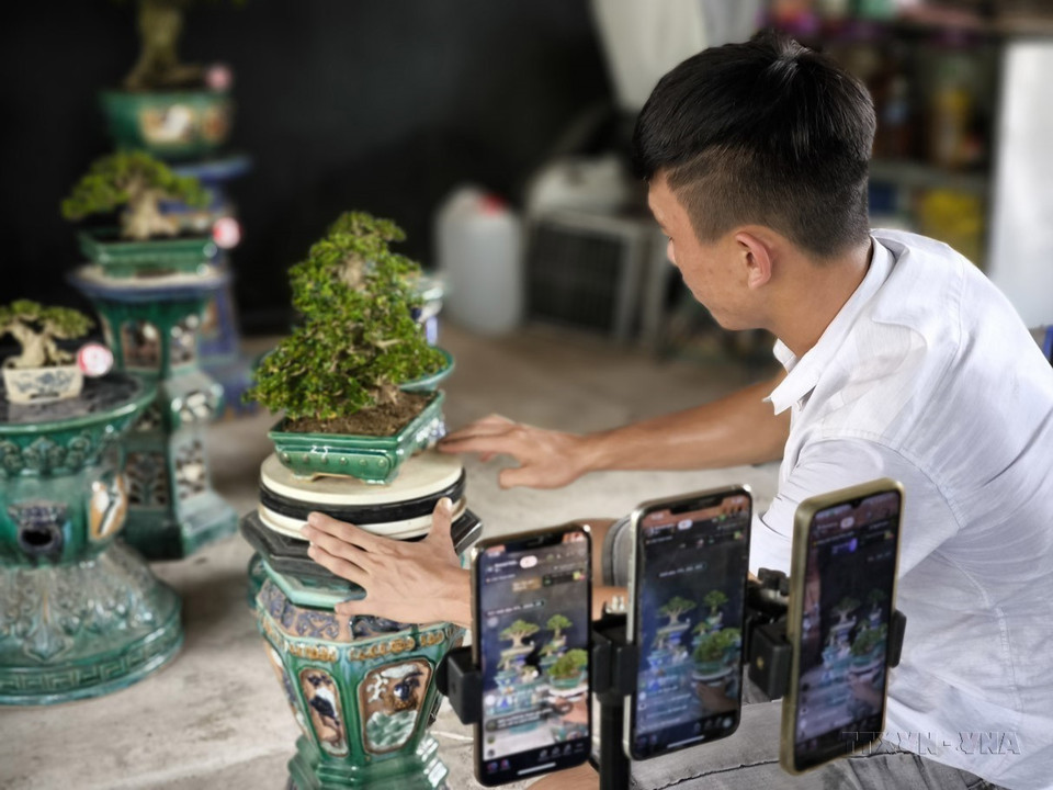 Des agriculteurs de Ben Tre utilisent l'e-commerce pour consommer leurs produits, créant des revenus plus élevés pour les agriculteurs. Photo: Huynh Phuc Hau/VNA