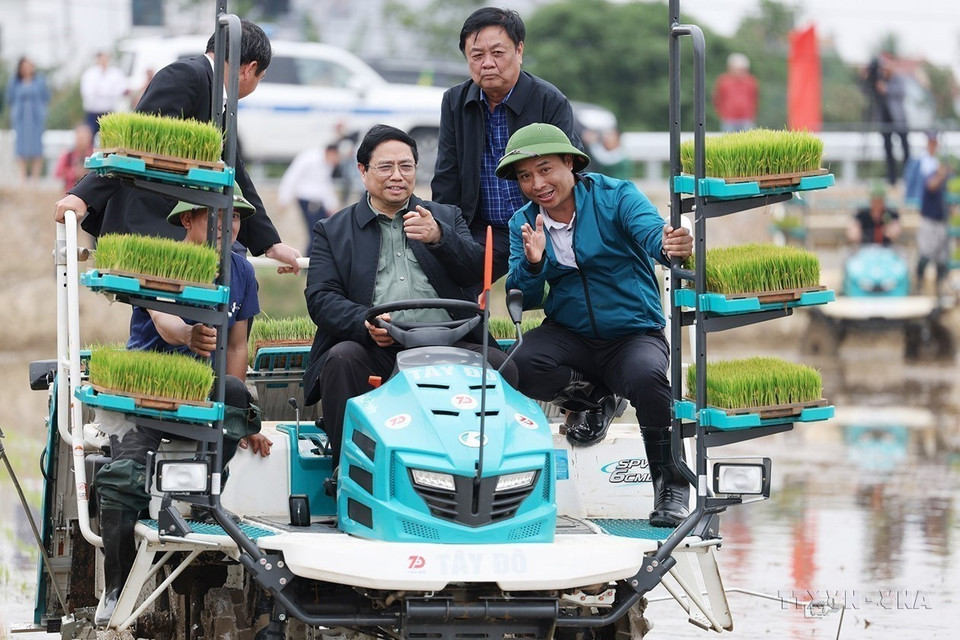 Le Premier ministre Pham Minh Chinh, accompagné des agriculteurs du district de Ninh Giang (province de Hai Duong), participe à la plantation de riz pour la saison hiver-printemps à l'aide de moyens mécanisés le 15 février 2024. Photo: Duong Giang/VNA