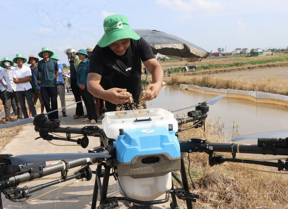 Des agriculteurs de Bac Ninh se préparent à semer des graines de riz à l'aide de drones.
