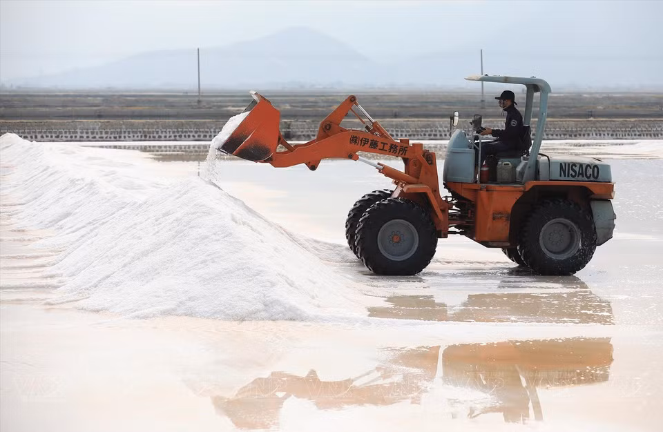 Le sel est ensuite empilé et chargé sur des camions pour la distribution. Photo : VI