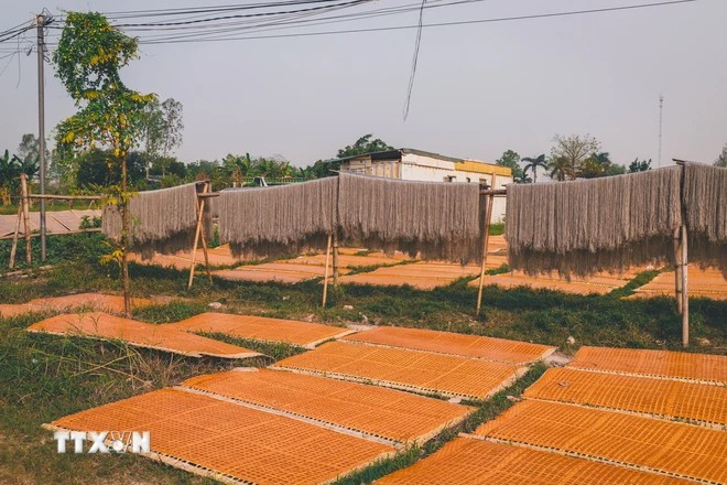 Actuellement, le village de Cu Da compte 17 à 18 ménages produisant des vermicelles de canna (miên dong), ce nombre est bien inférieur à celui de plus de 100 ménages des années précédentes. Photo : Van Chi/VNA